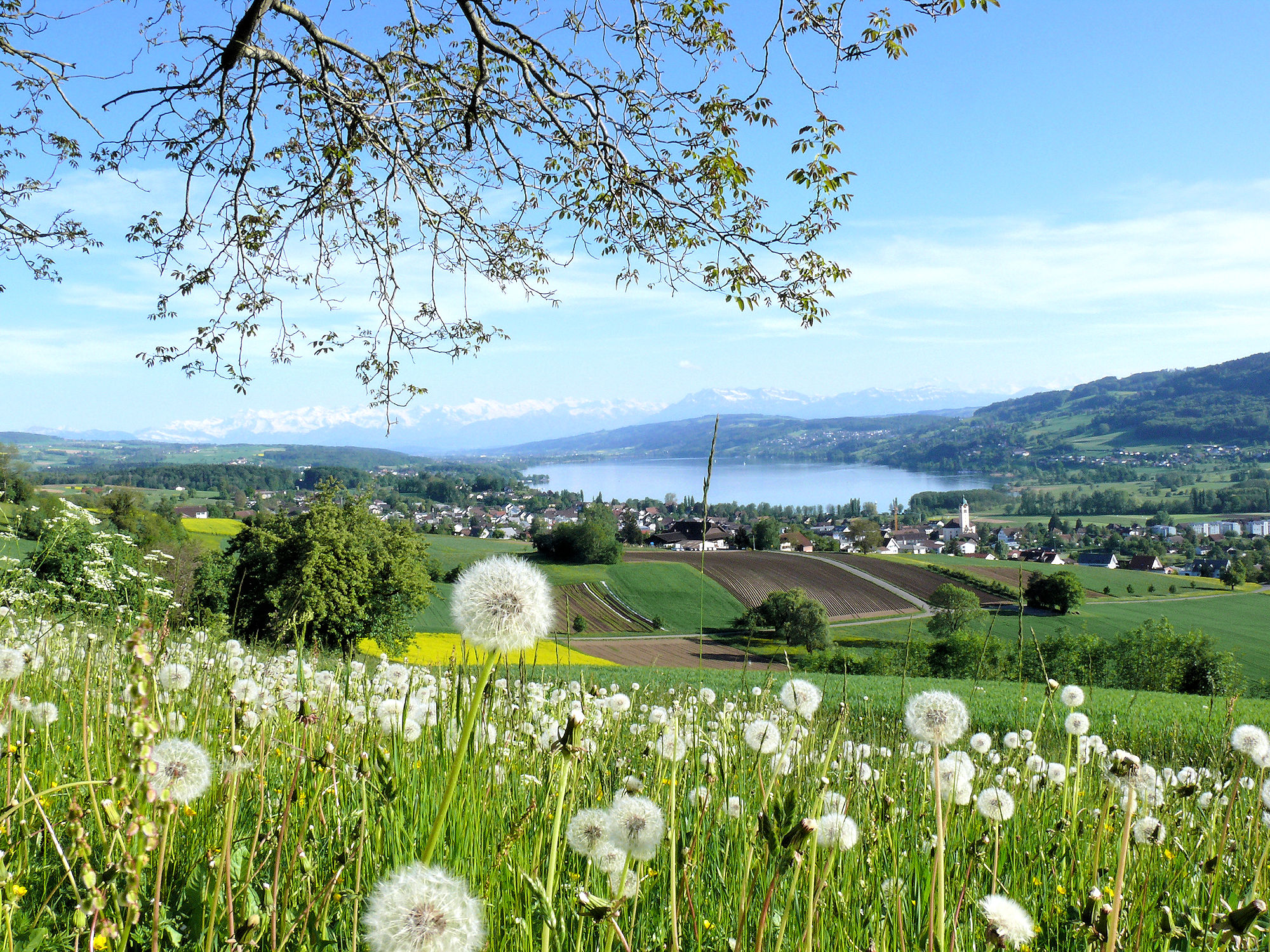 Seetal Hallwilersee Baldeggersee