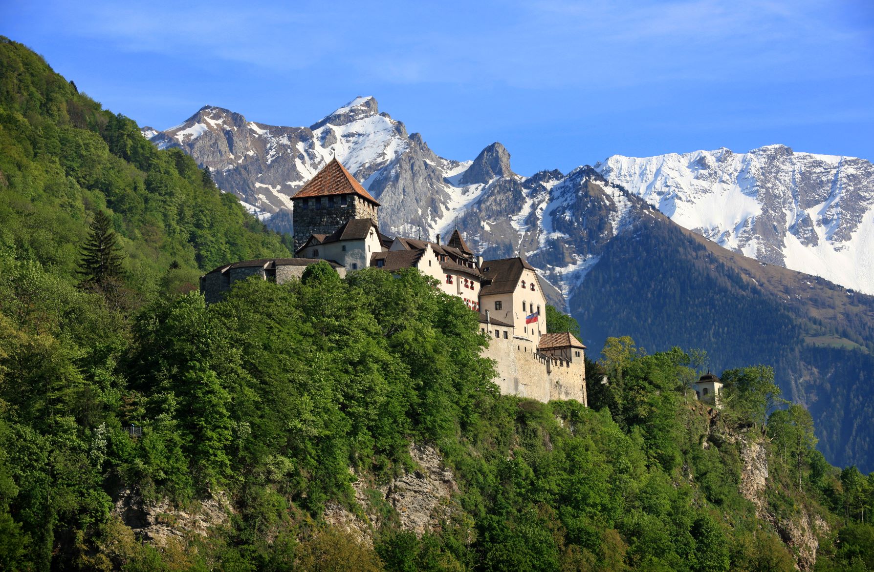 Schloss Vaduz; im Vordergrund Bäume im Hintergrund Berge