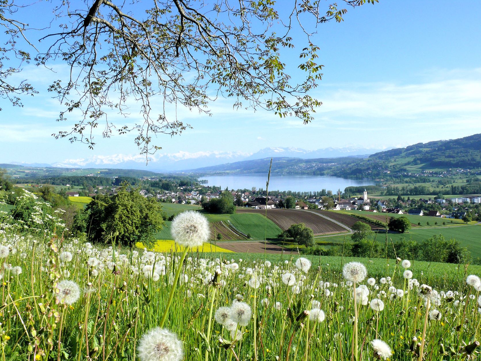 Seetal Hallwilersee Baldeggersee
